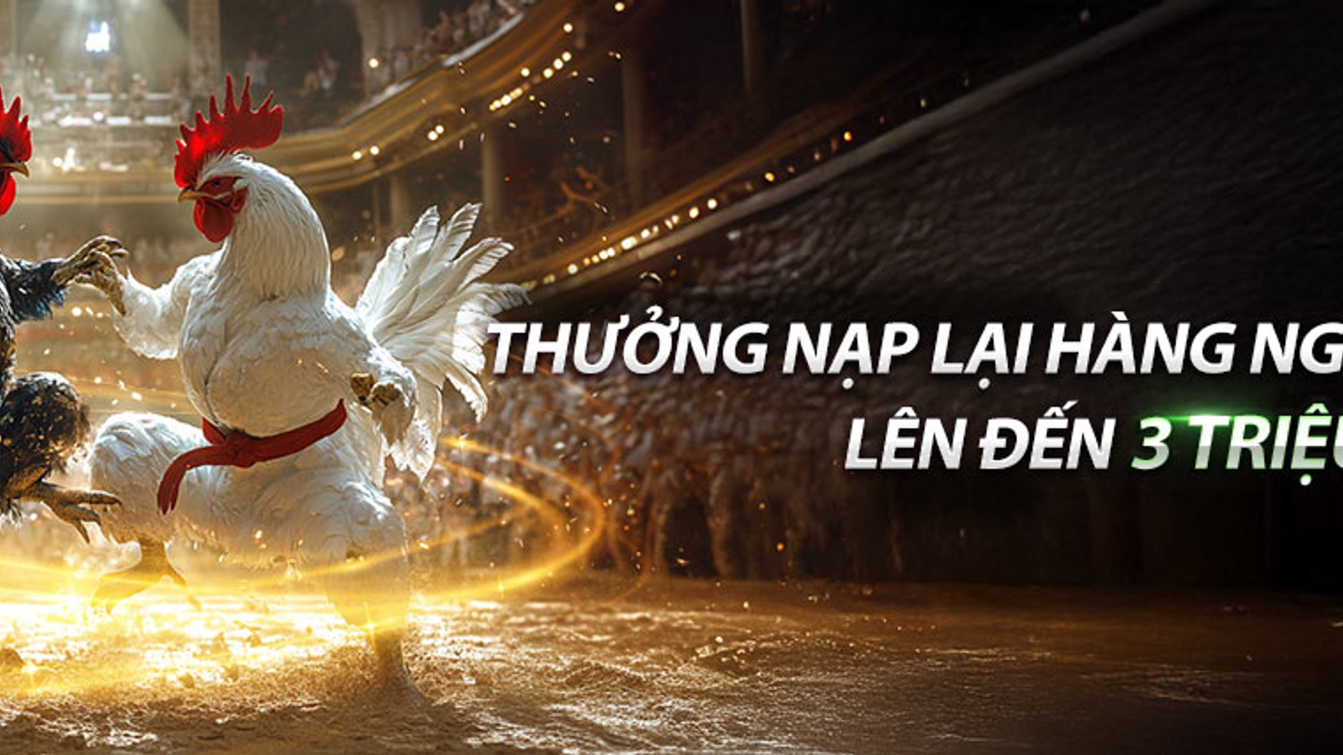 Ứng dụng 888New trên điện thoại di động